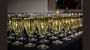 Steelorchid Social & Commercial Photography
