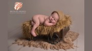 Dora Horvath Photography