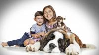 Dog and Pet Photoshoots